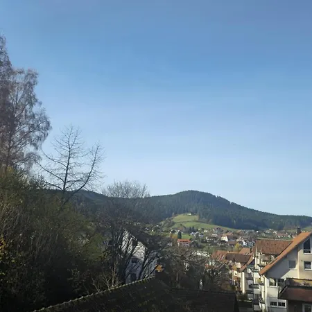 Apartamento Gertrud Schwarzwald Feeling Komfort