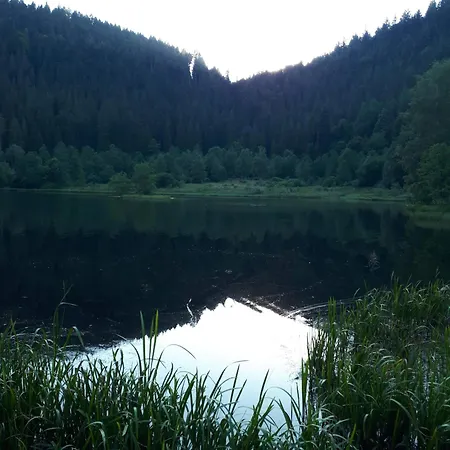 Apartamento Gertrud Schwarzwald Feeling Komfort Baiersbronn